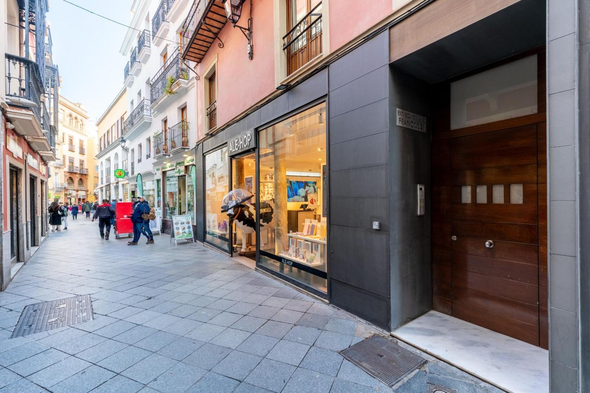 Centrico Duplex Con Terraza Seville